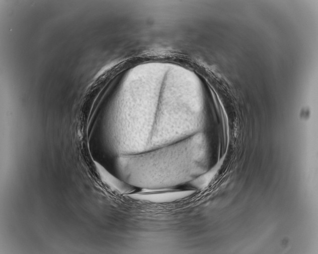 X0000098221206200805081150