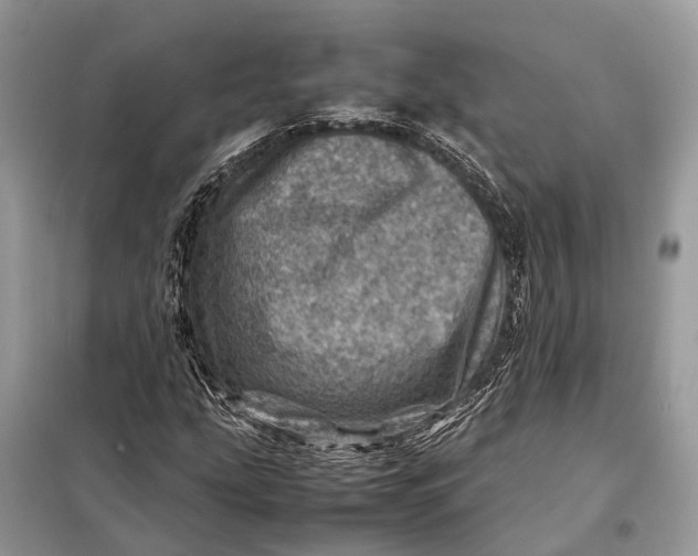 X0000098221207200805081150