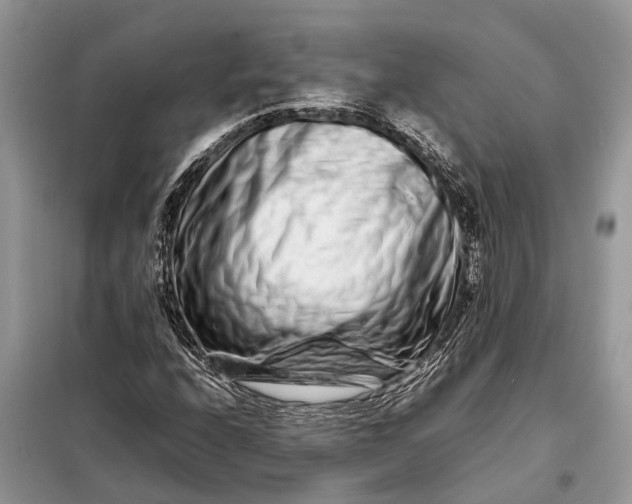 X0000098221208200805081150