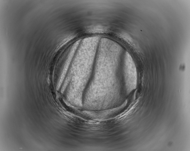 X0000098221209200805081150