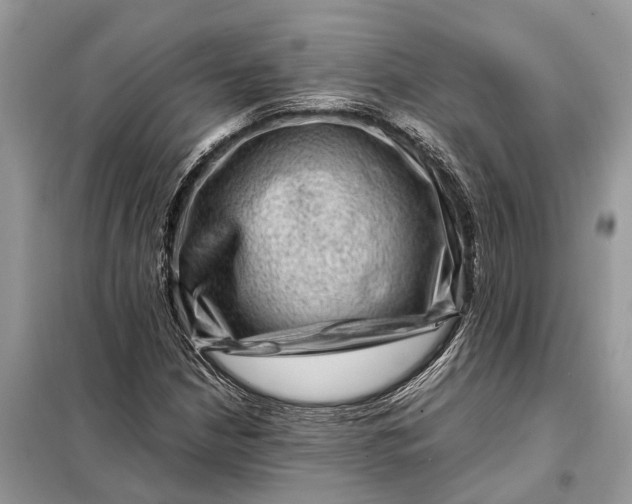 X0000098221210200805081150