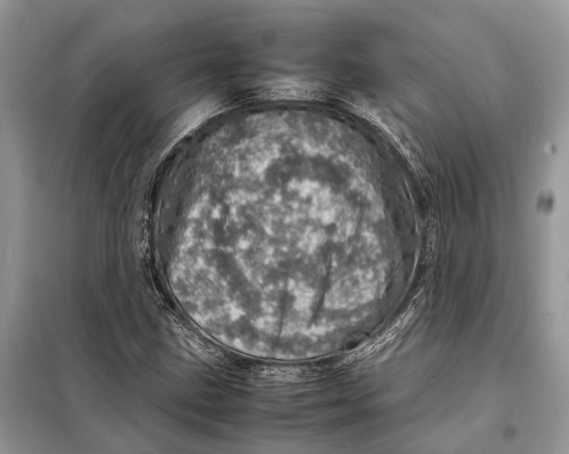 X0000098221211200805081150