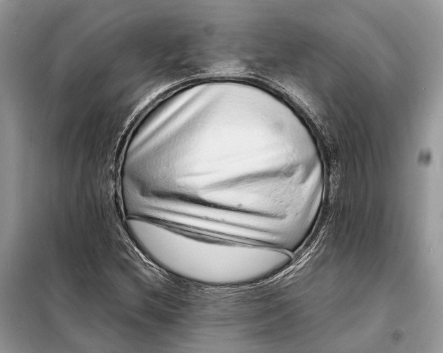 X0000098221212200805081150