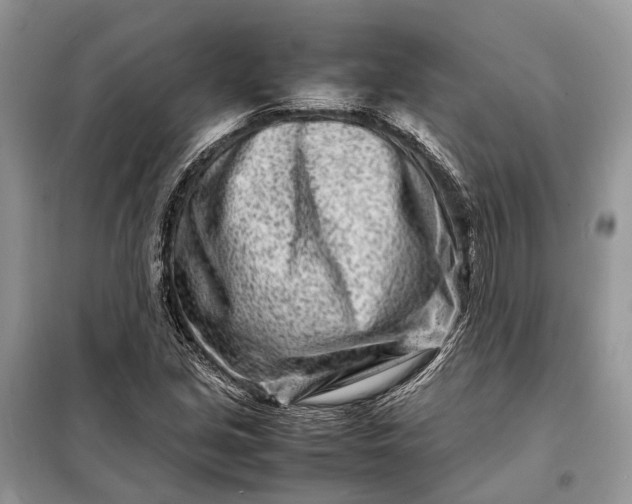 X0000098221213200805081150