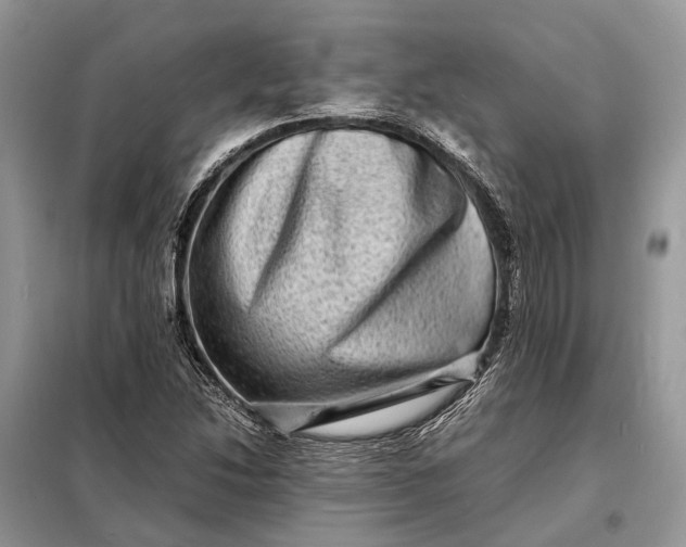 X0000098221214200805081150