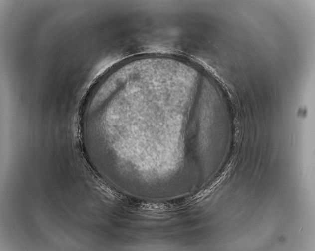 X0000098221215200805081150