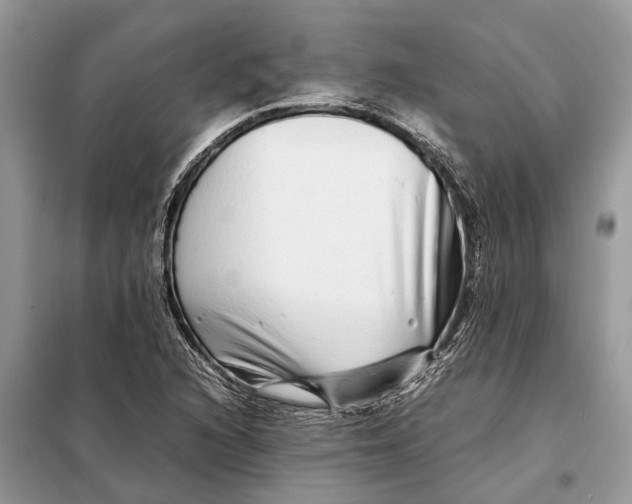 X0000098221216200805081150