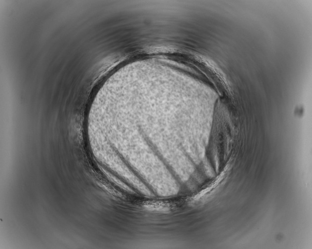 X0000098221217200805081150