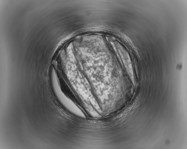 X0000098221218200805081150