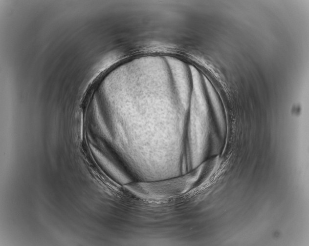 X0000098221219200805081150