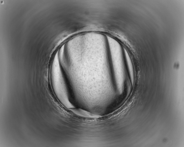 X0000098221220200805081150