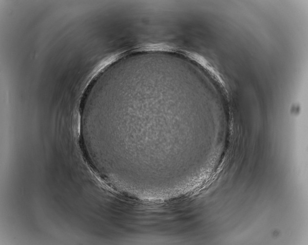 X0000098221221200805081150