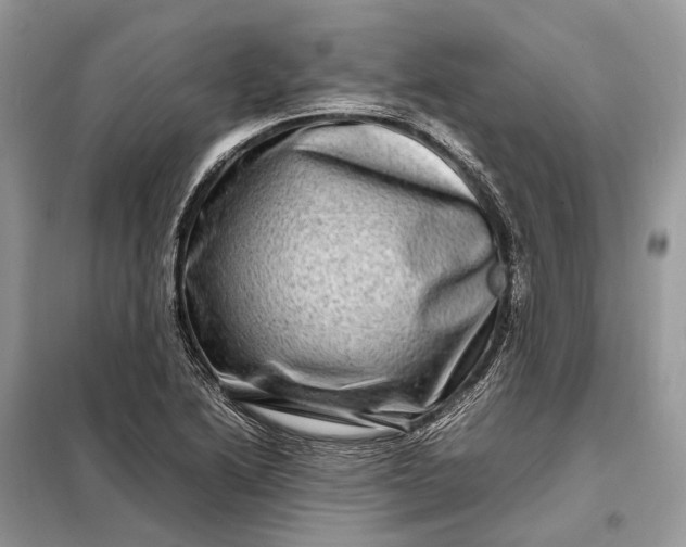 X0000098221222200805081150