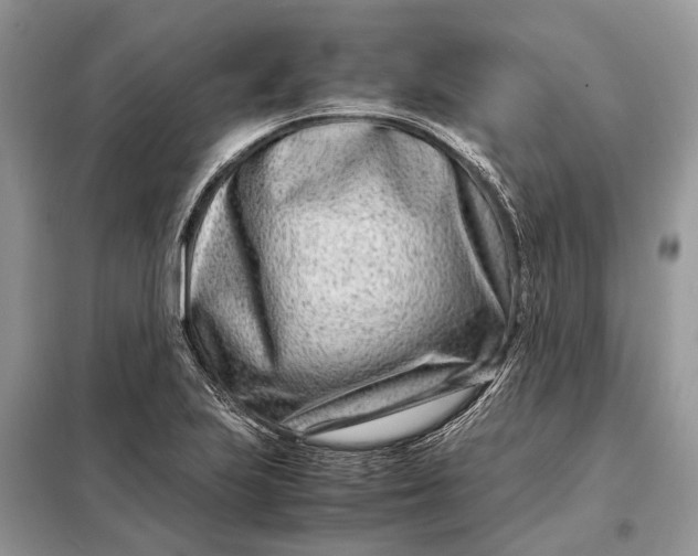 X0000098221223200805081150