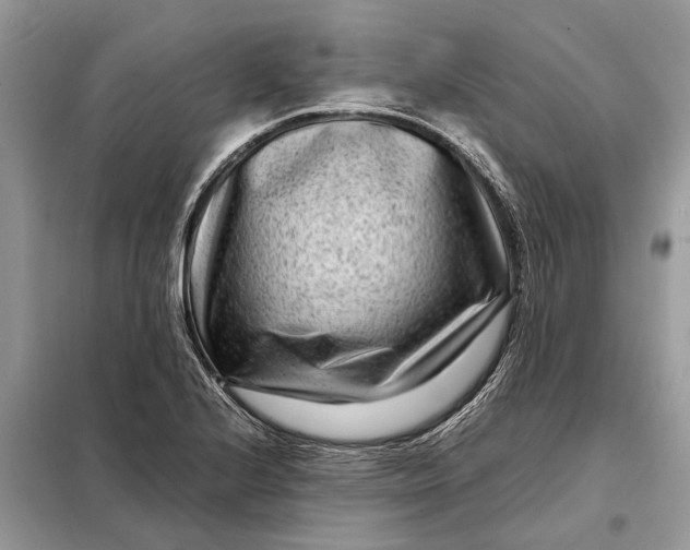 X0000098221224200805081150