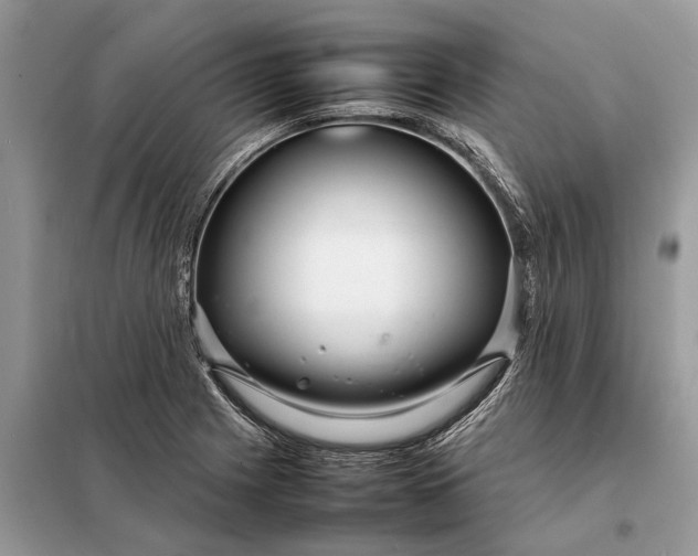 X0000098221225200805081150