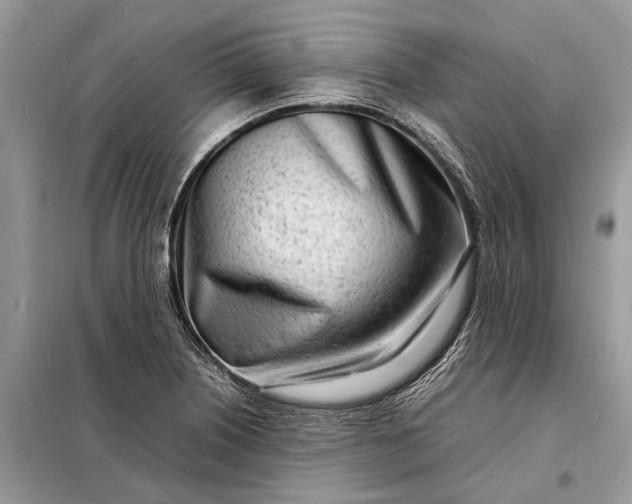 X0000098221226200805081150