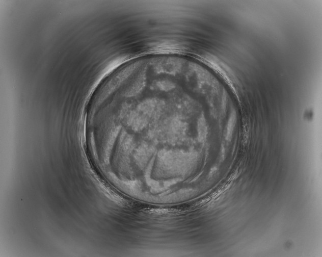 X0000098221227200805081150