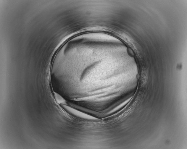 X0000098221228200805081150