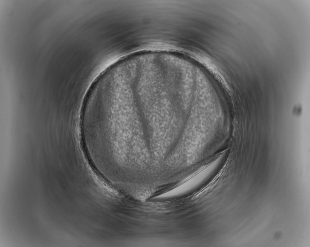 X0000098221229200805081150