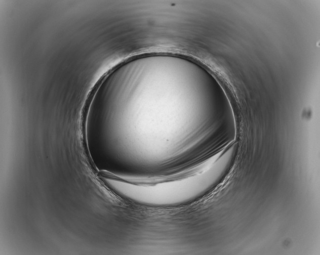 X0000098221230200805081150