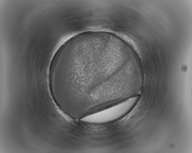 X0000098221231200805081150