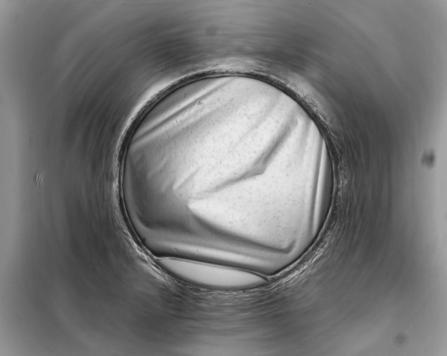 X0000098221232200805081150