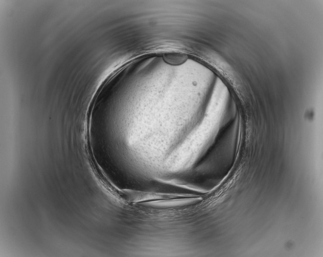 X0000098221234200805081150