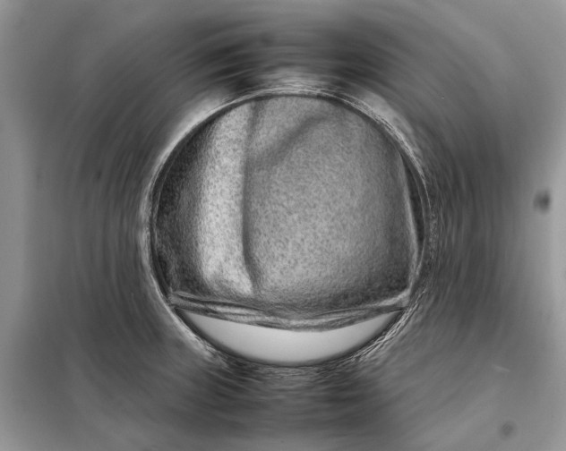 X0000098221235200805081150