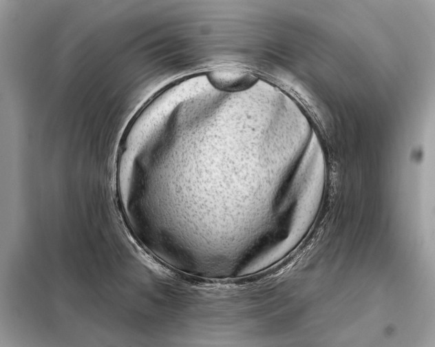 X0000098221236200805081150