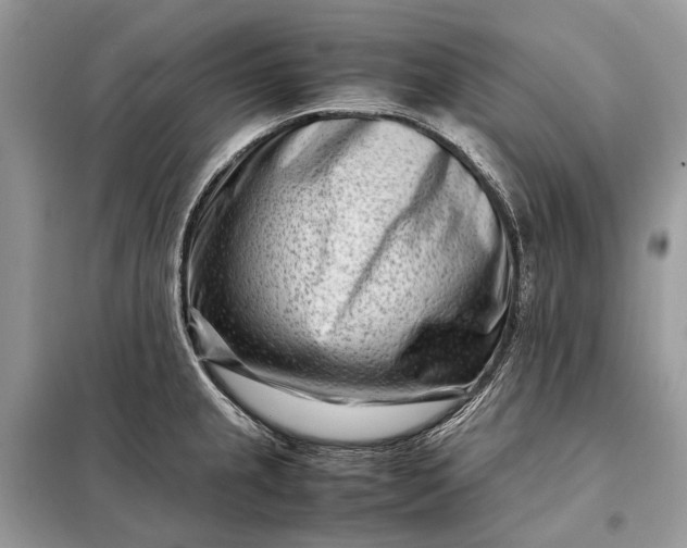 X0000098221237200805081150