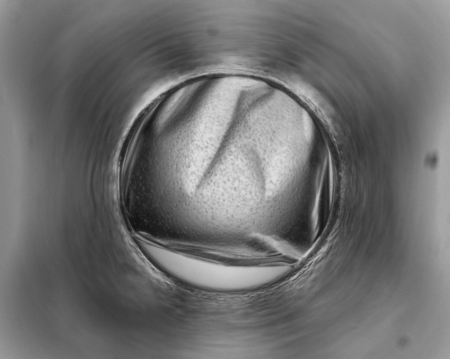 X0000098221238200805081150