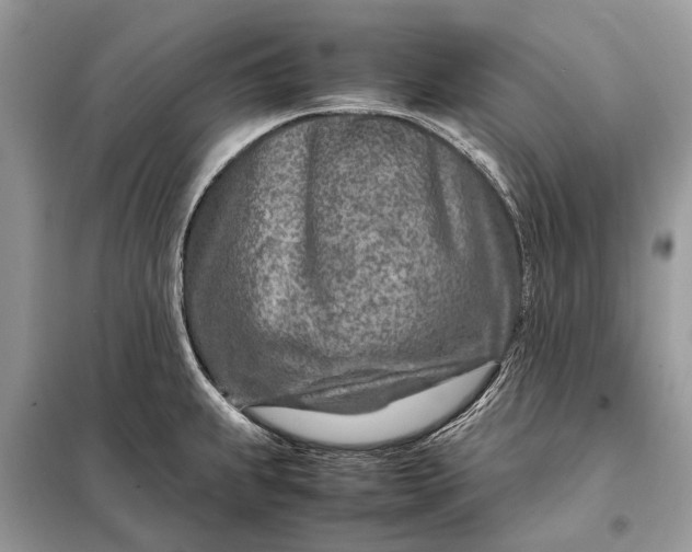 X0000098221239200805081150