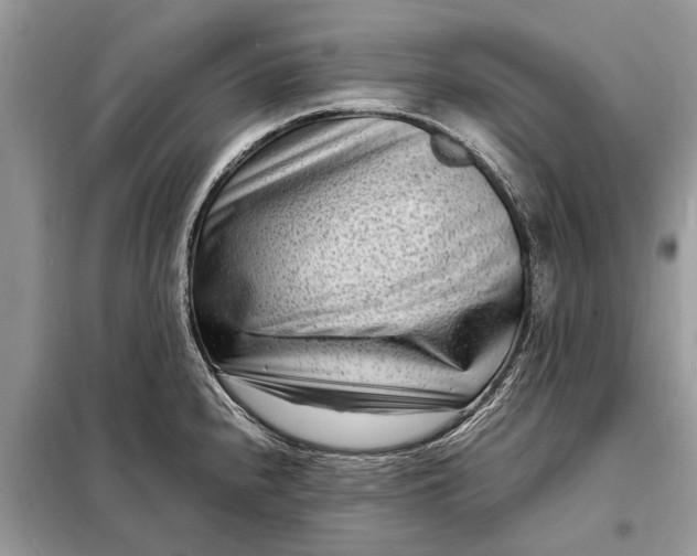 X0000098221240200805081150