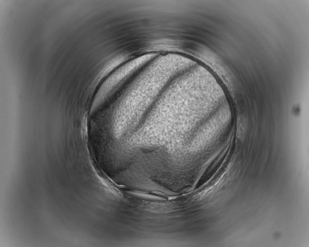 X0000098221241200805081150