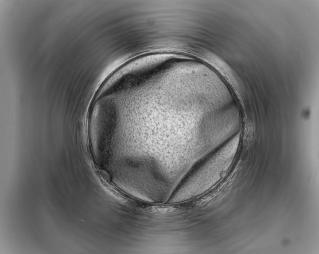 X0000098221242200805081150