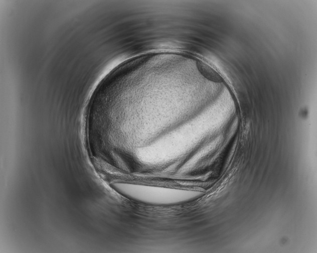 X0000098221243200805081150