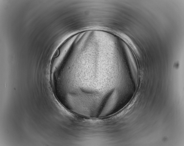 X0000098221244200805081150