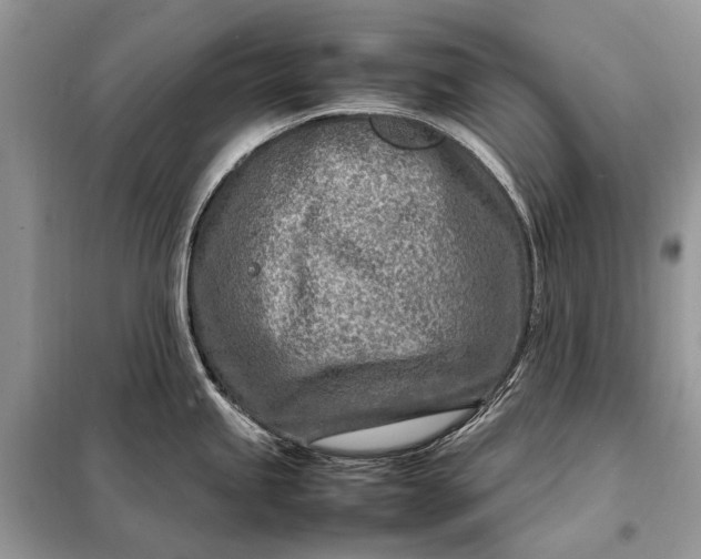 X0000098221245200805081150