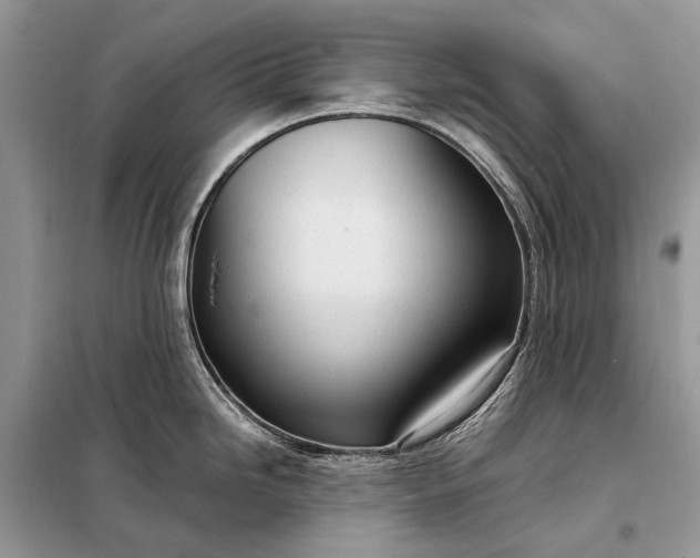 X0000098221246200805081150