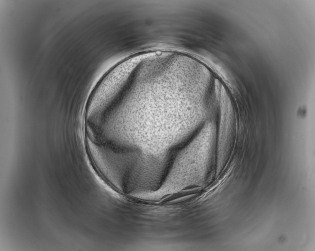 X0000098221247200805081150