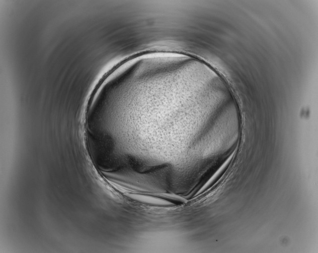 X0000098221248200805081150