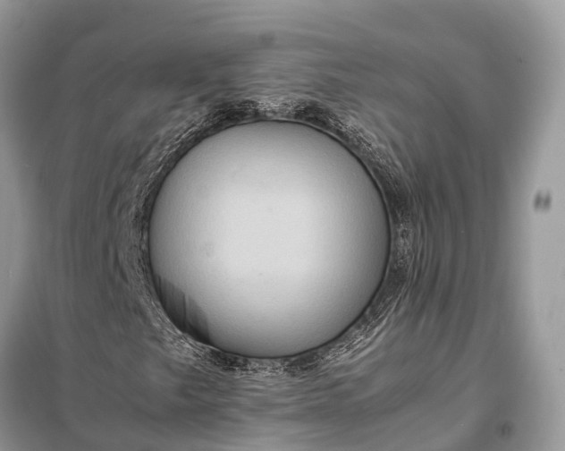 X0000098221249200805081150