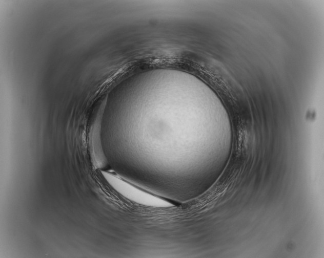 X0000098221250200805081150