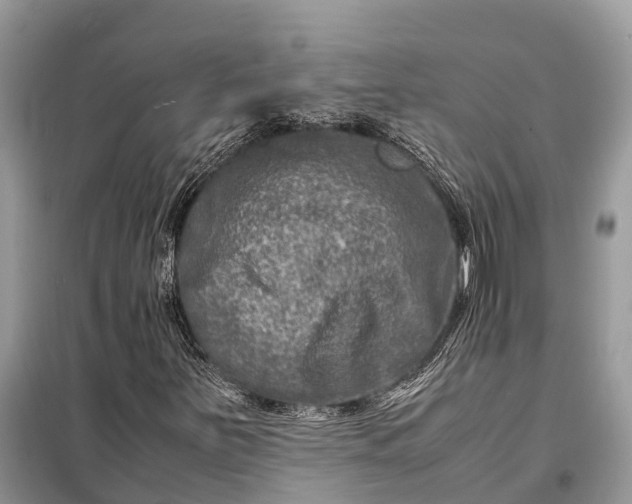 X0000098221251200805081150