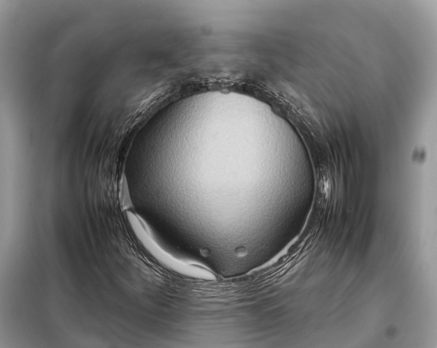 X0000098221252200805081150