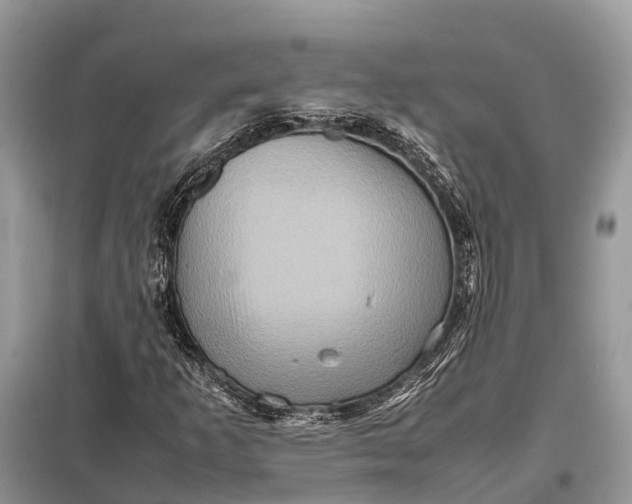 X0000098221253200805081150