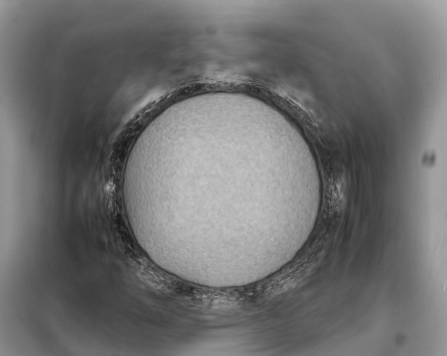 X0000098221254200805081150