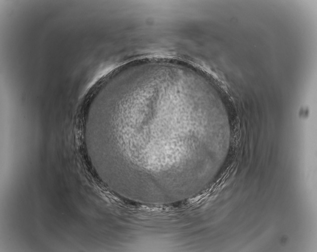 X0000098221255200805081150