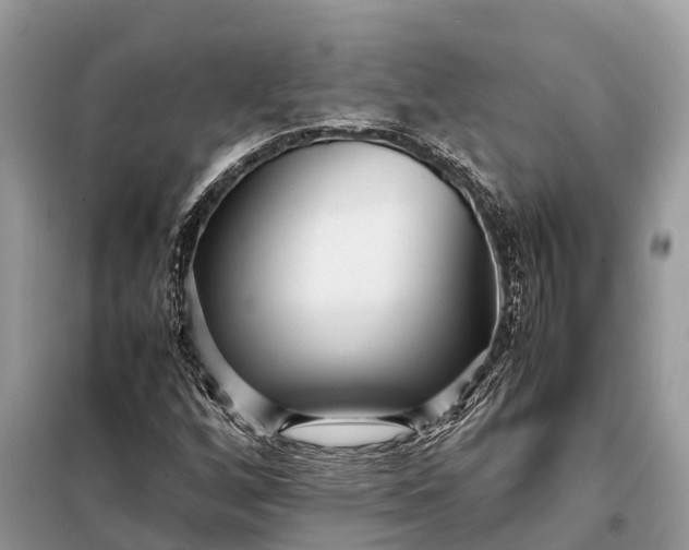 X0000098221256200805081150